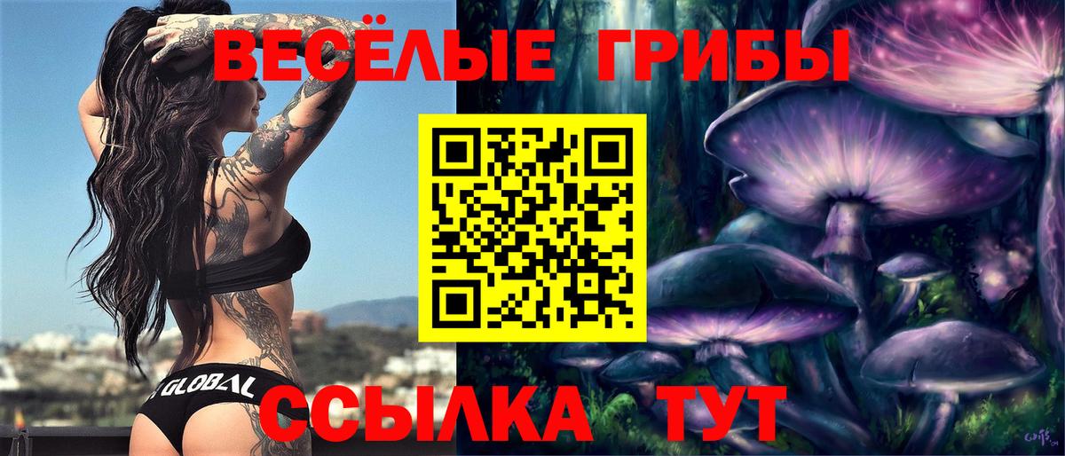 Галлюциногенные грибы Psilocybe Тулун