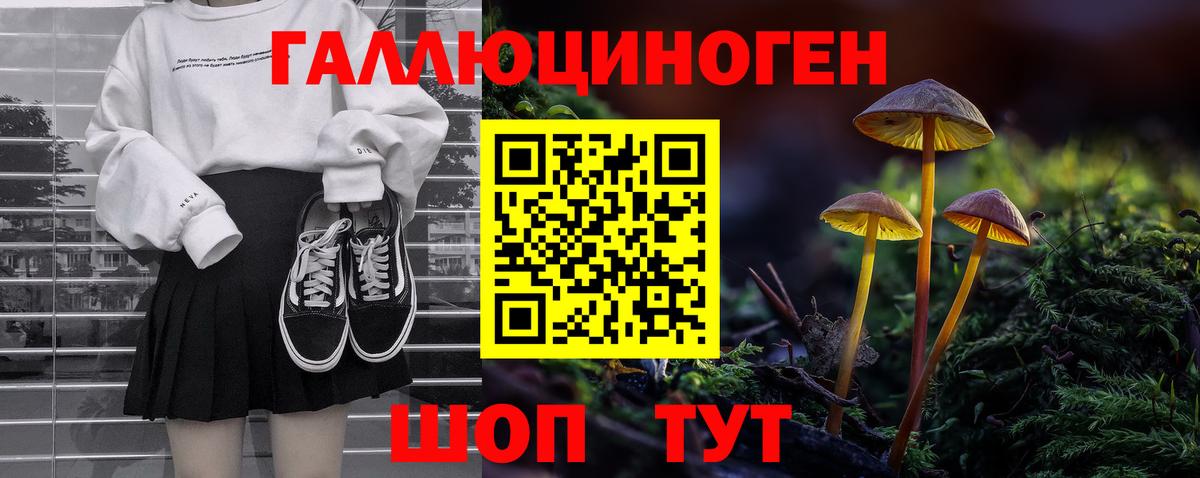 Псилоцибиновые грибы GOLDEN TEACHER  Вход с VPN  Тулун  даркнет сайт  Галлюциногенные грибы Magic Shrooms 